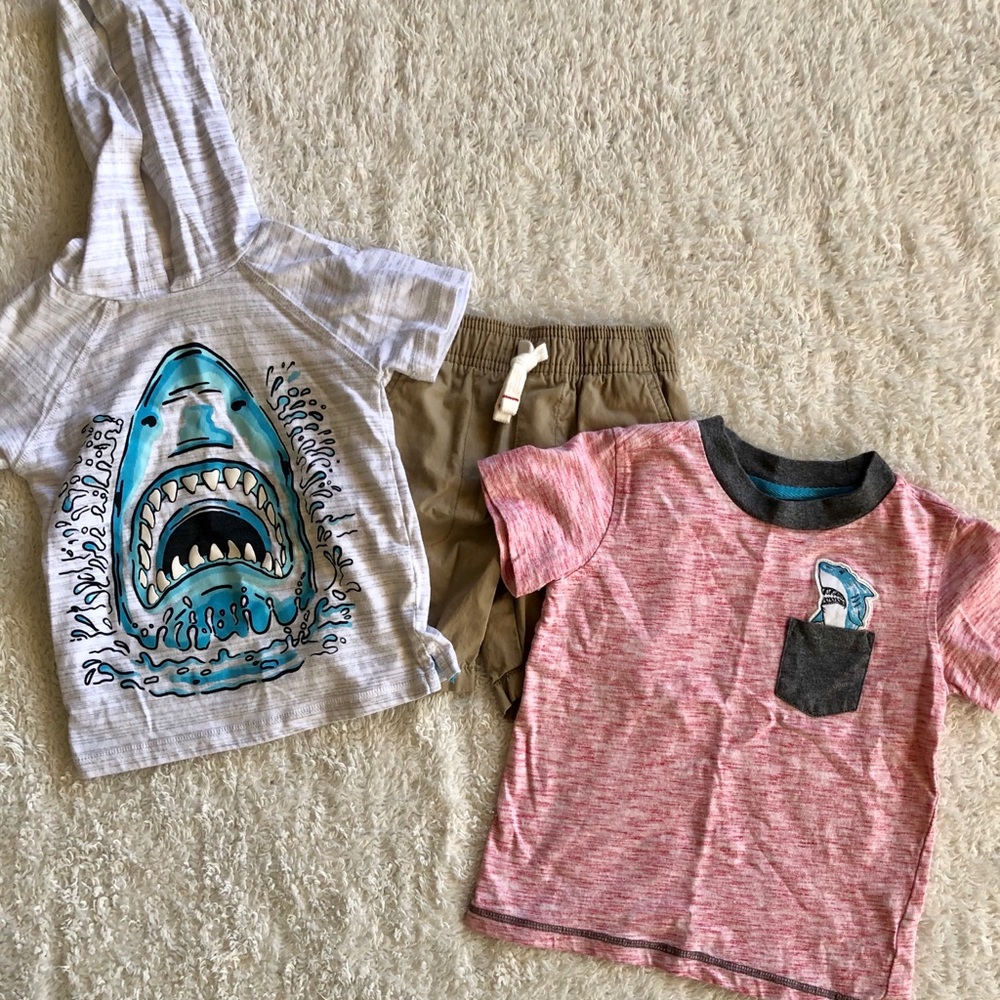 Bundle of 3T Toddler Boys’ Summer Clothes